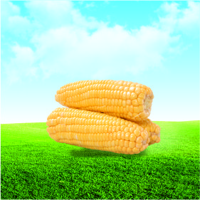 食品檢測(cè)項(xiàng)目