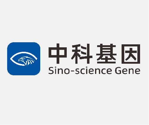 北京中科基因技術(shù)股份有限公司 使用資本公積金彌補(bǔ)虧損的公告